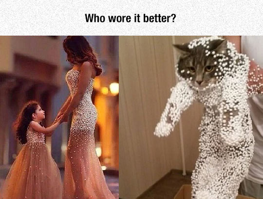 funny-girl-dress-pearls-cat