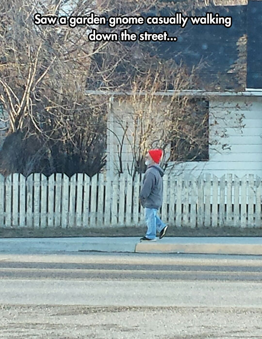 funny-gnome-old-man-walking-street