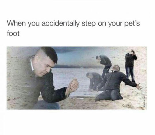funny-man-regrets-beach-sadness
