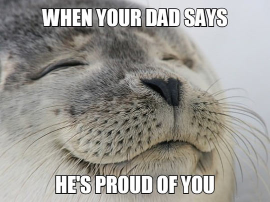 funny-seal-proud-father-satisfying