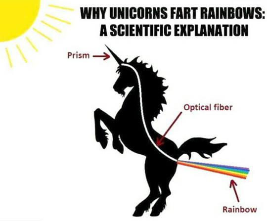 A Scientific Explanation For Rainbows