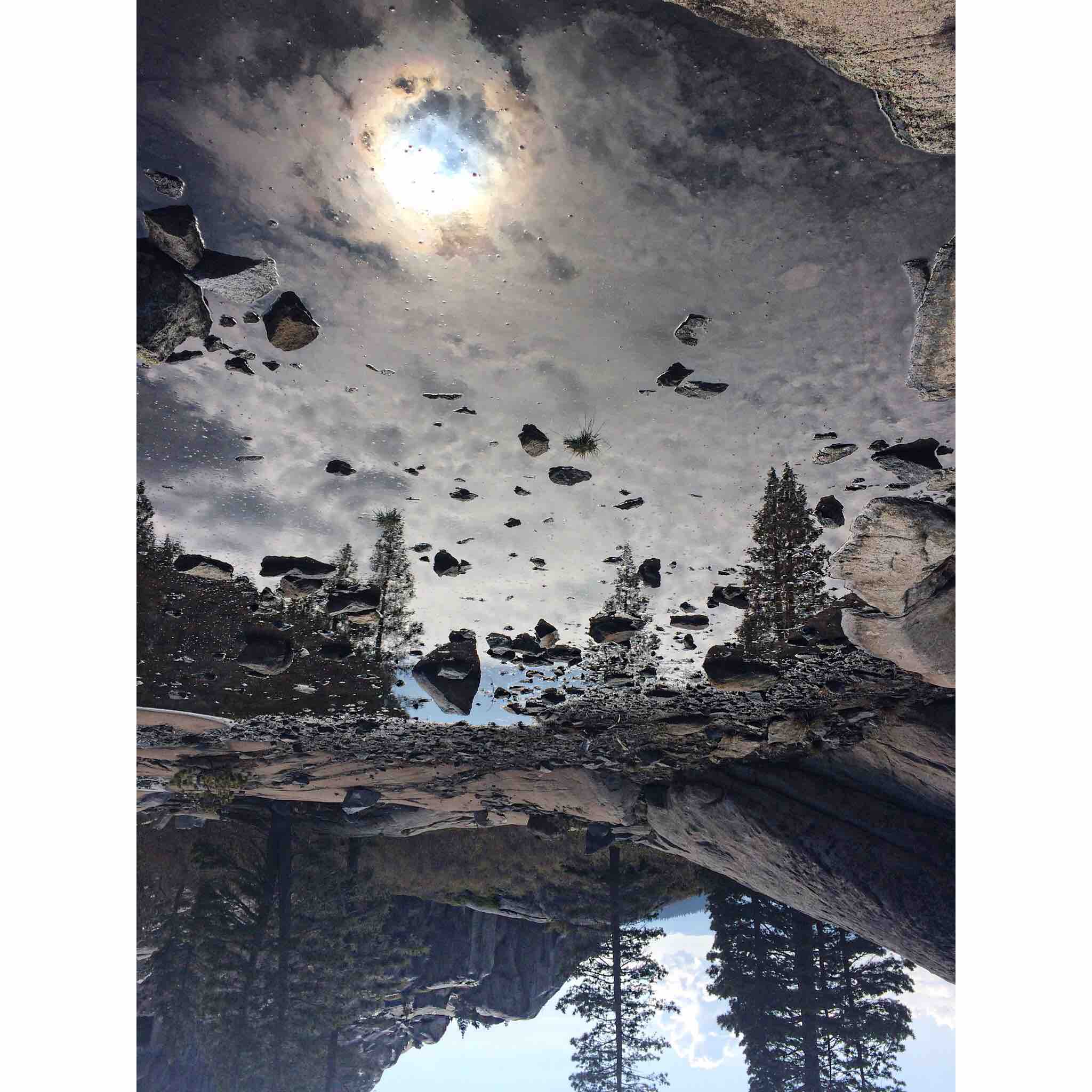 I turned this picture I took of a mirrored puddle upside down and it looks like some crazy cool alien planet