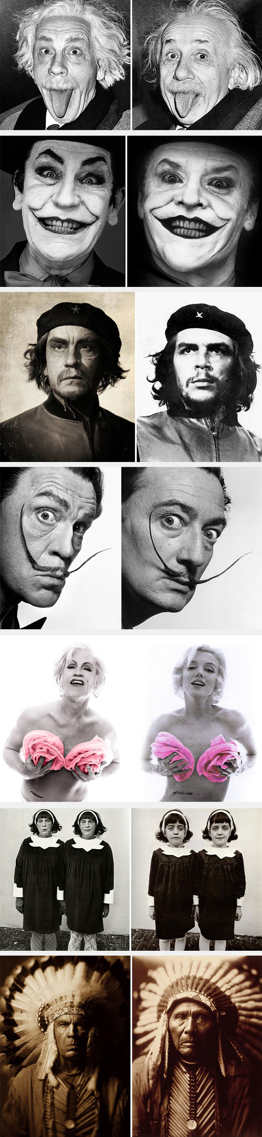 funny-John-Malkovich-Einstein-Joker