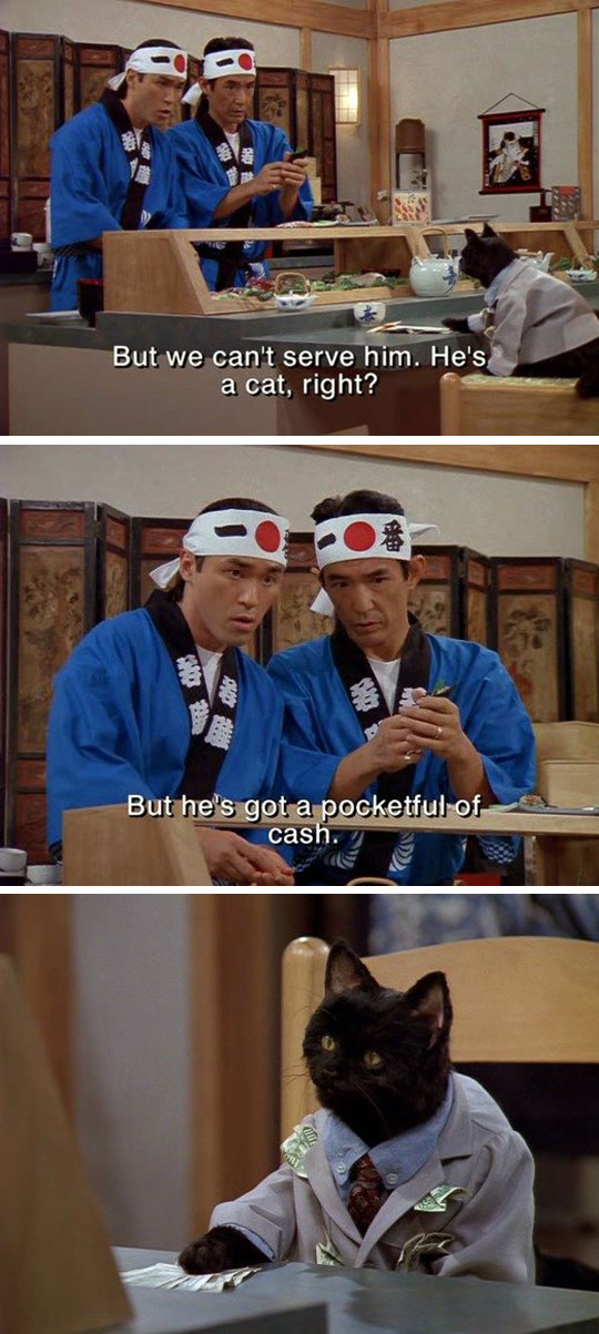 funny-Sabrina-cat-Salem-sushi-restaurant