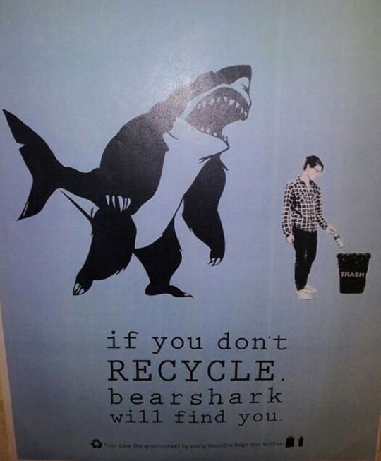 funny-bear-shark-recycle-trash