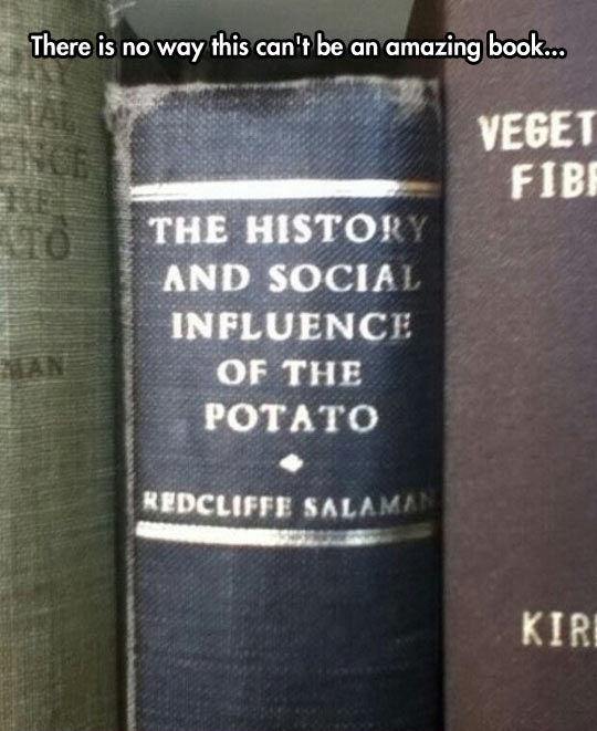 The History Of The Potato