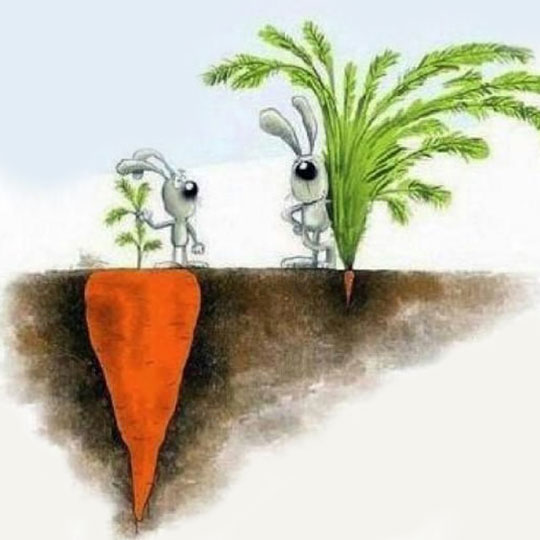 Success Isn’t Always What You See