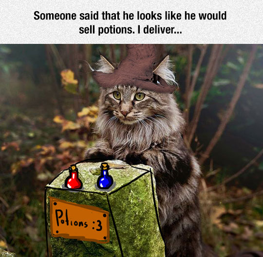 Potion Maker, Give Me Your Best Potion