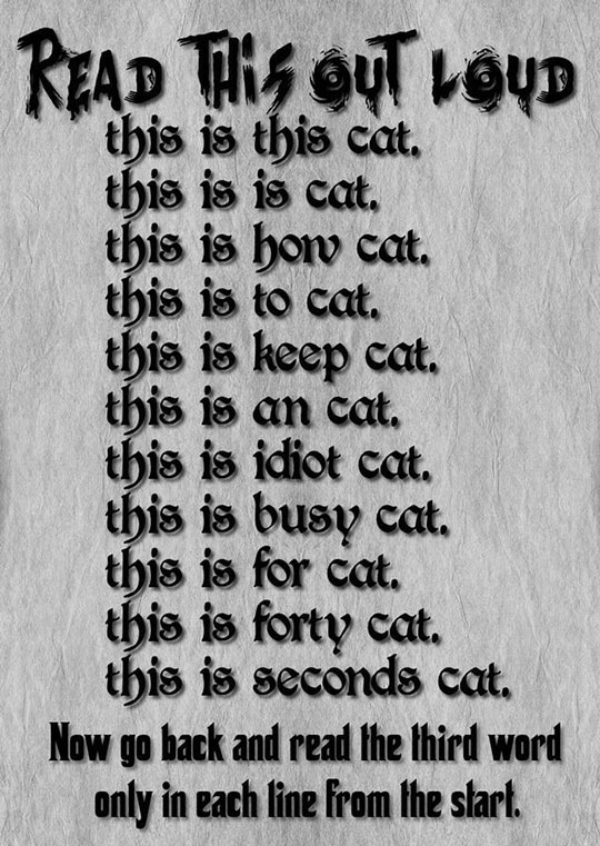 funny-cat-puzzle-time-prank
