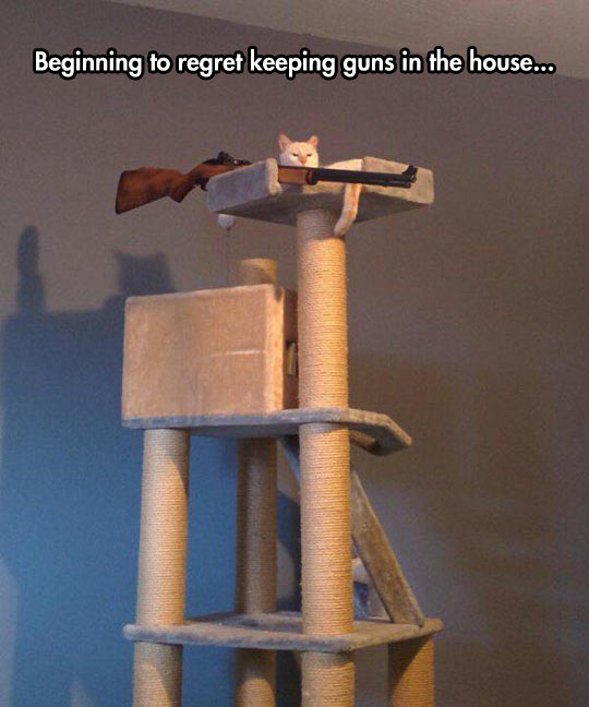 red dot cat tower