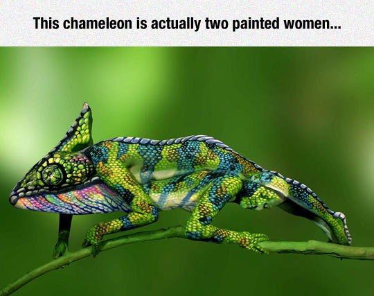 funny-chameleon-painted-women-two