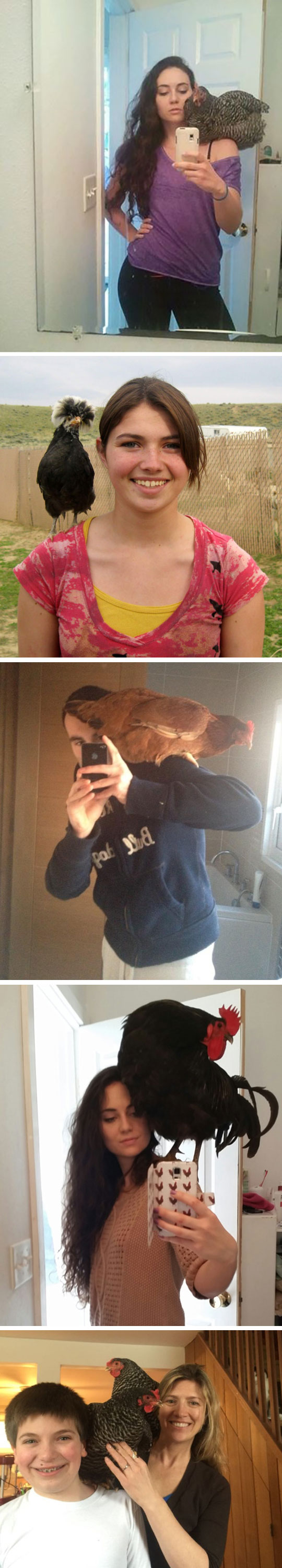funny-chicken-shoulder-selfie-mirror