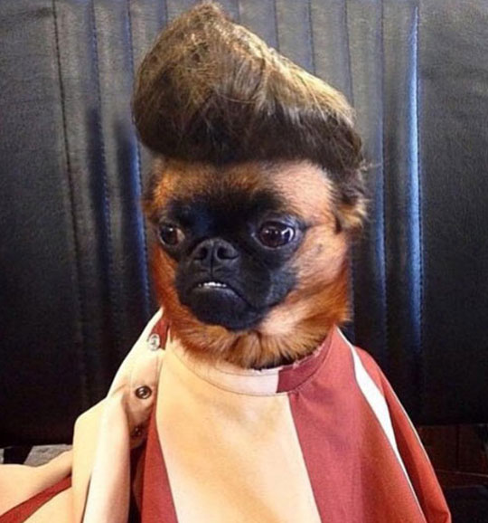 Bruno Mars Got Hairy