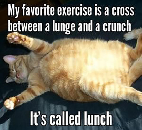 Favorite Exercise