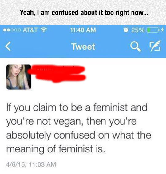 funny-feminist-vegan-meaning-Twitter
