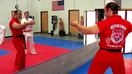 The Most Impressive Martial Arts Move In The World