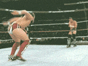 funny-gif-Wrestling-fake-men