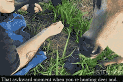 Deer Hunting Gets Awkward