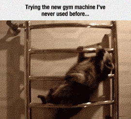 Using The New Gym Machine