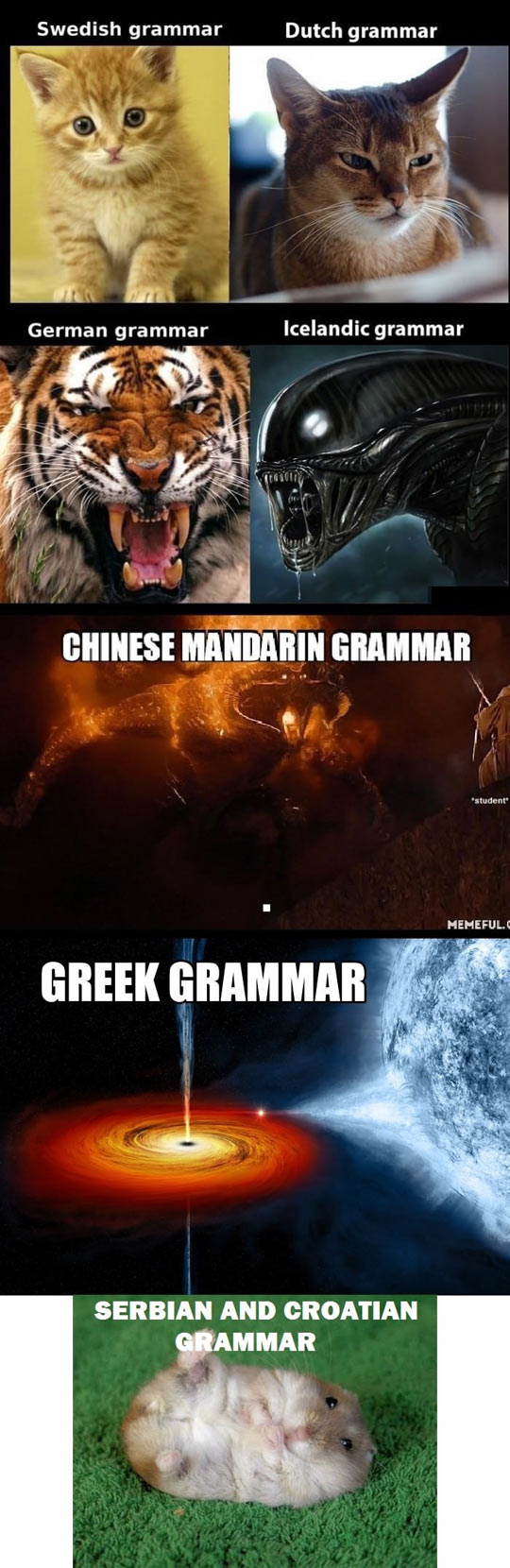 Grammar Difficulty By Language