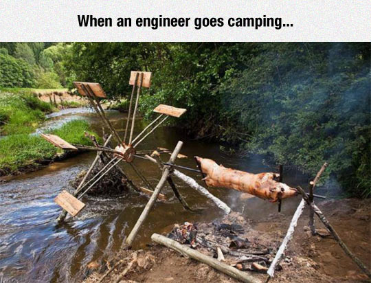 funny-river-pig-cooking-engineer