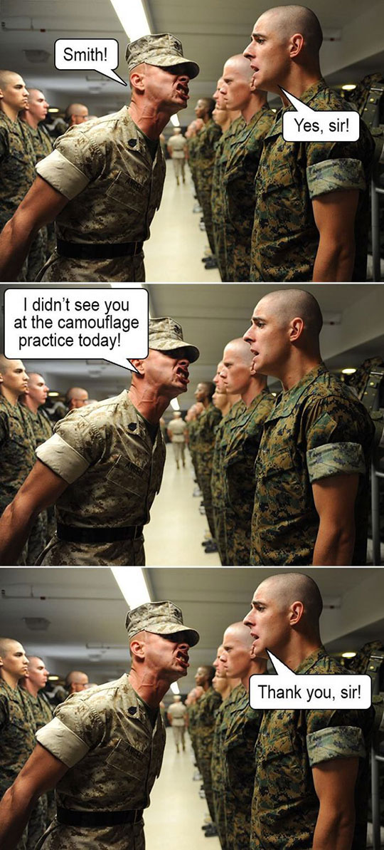 funny-soldier-line-camouflage-uniform