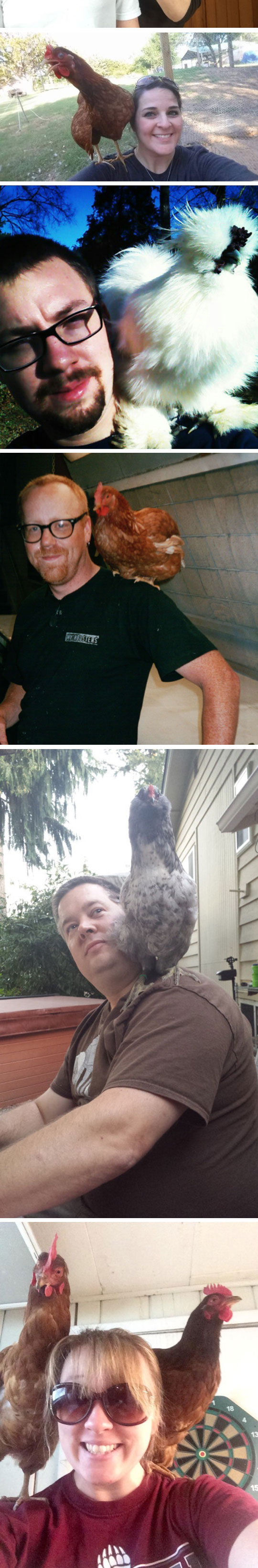 funny-trend-internet-chick-shoulder