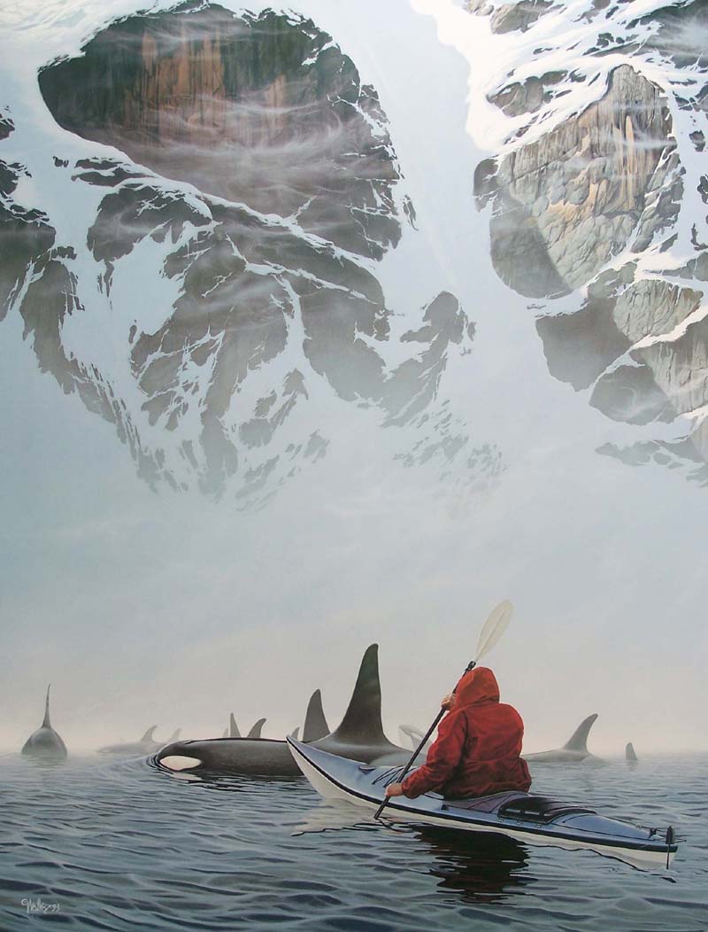 Kayaking with Orcas