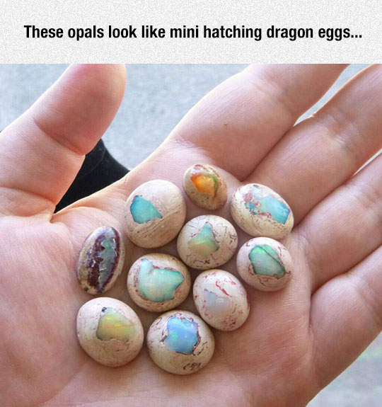 Mini Dragon Eggs