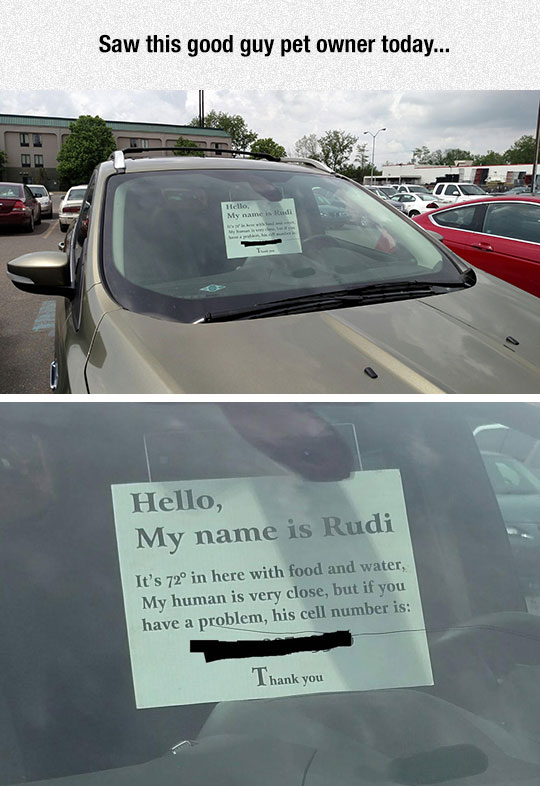 cool-pet-owner-car-sign-number