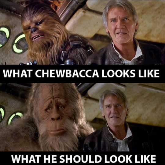 Looks Like Chewbacca Had Some Work Done On Himself