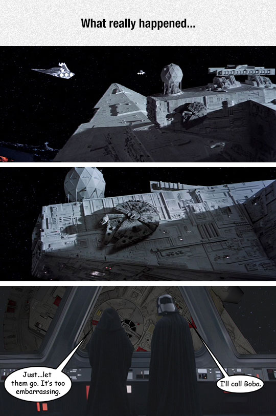 funny-Millenium-Falcon-Star-Wars-window-camouflage