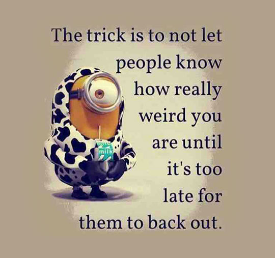 funny-Minion-cow-costume-quote