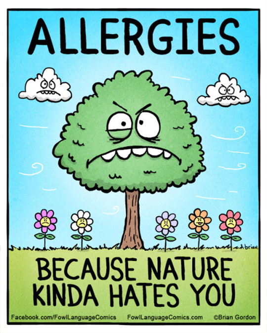 Truth About Allergies