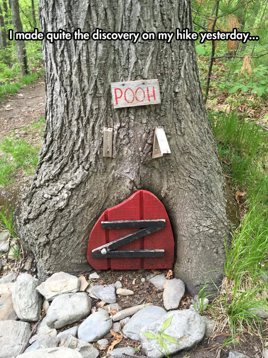 funny-Winnie-Pooh-house-tree-woods