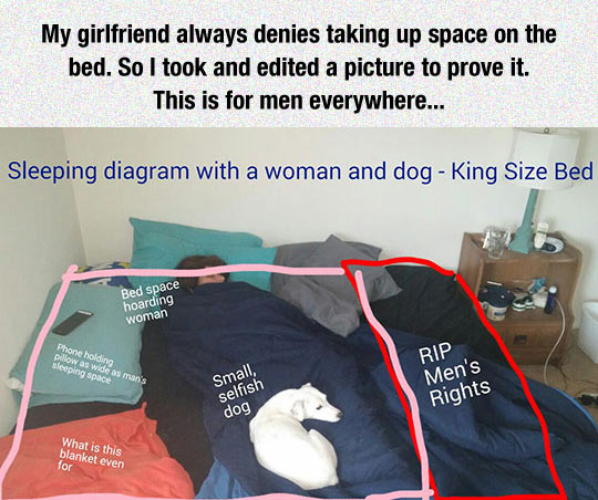 Sleeping With A Woman And Dog