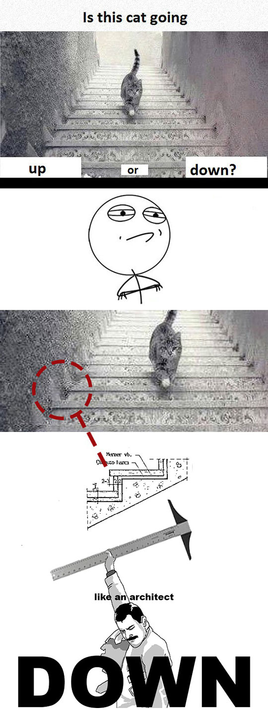 Somebody Solved The Up-Or-Down Cat Problem