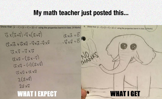 Math Teacher Expectations