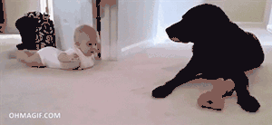 Cute Baby Bonding With The Pet Dog