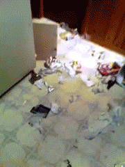 Who Broke Into The Trash And Made The Mess?
