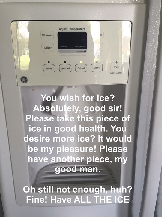 The Ice Maker Truth