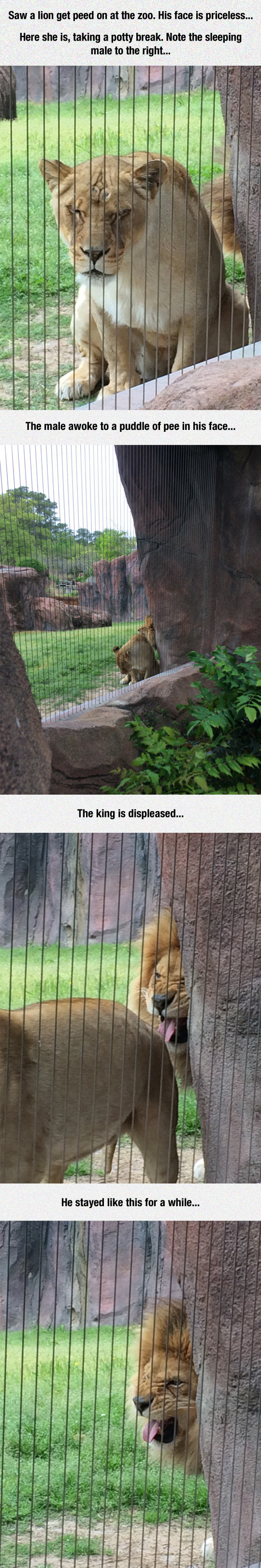 Disgust Of The King