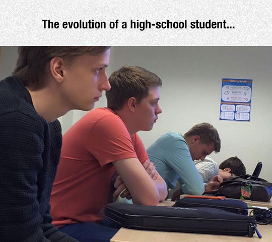 Student Evolution