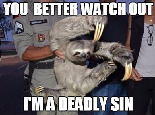 Beware Of Sloths