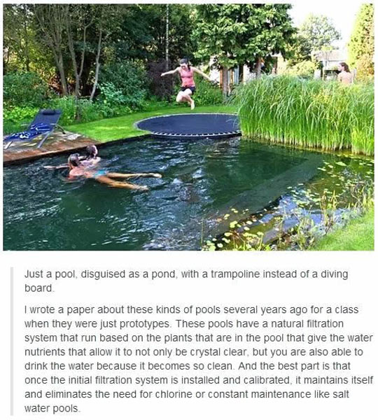 Just A Pool, Disguised As A Pond