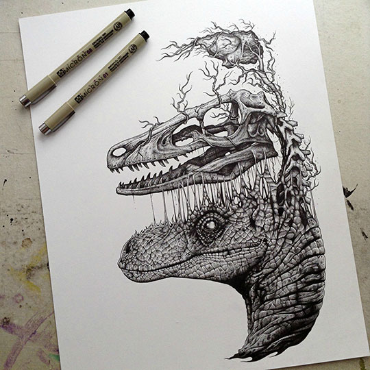 Raptor Skull And Brain Drawing