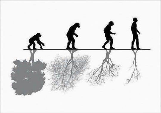 The Advance Of Human Evolution