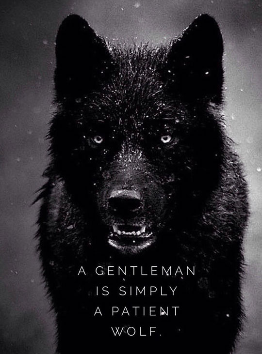 Truth About Guys Who Call Themselves A Gentleman