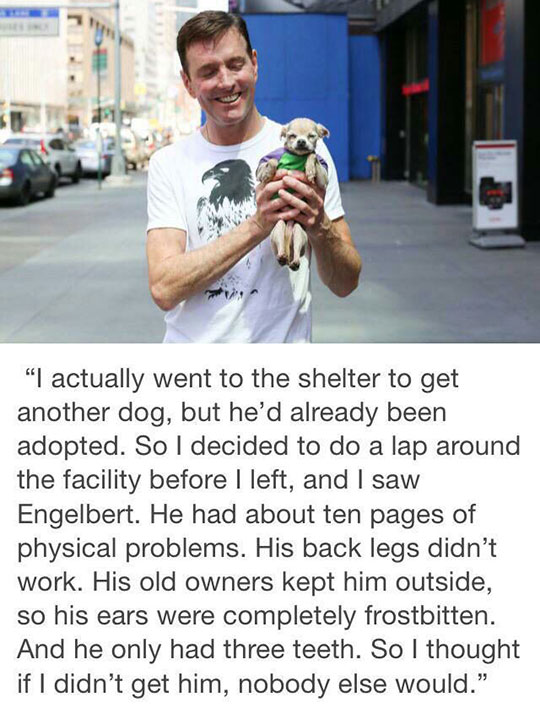 cute-puppy-adoption-story