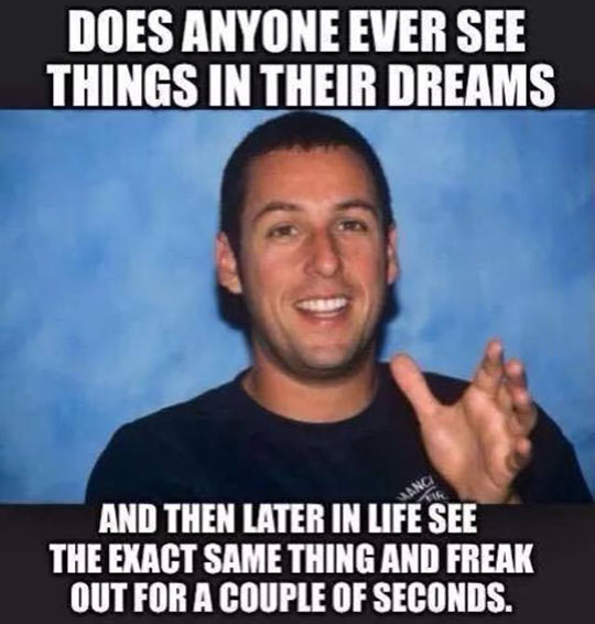 funny-Adam-Sandler-dreams-true